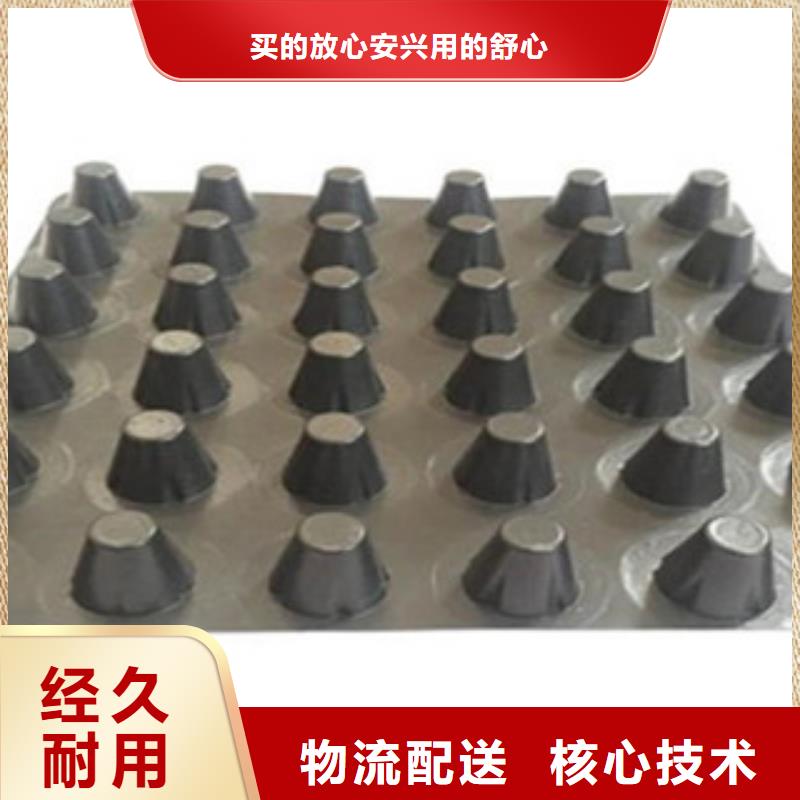 【塑料排水板】三維植被網(wǎng)價格地道