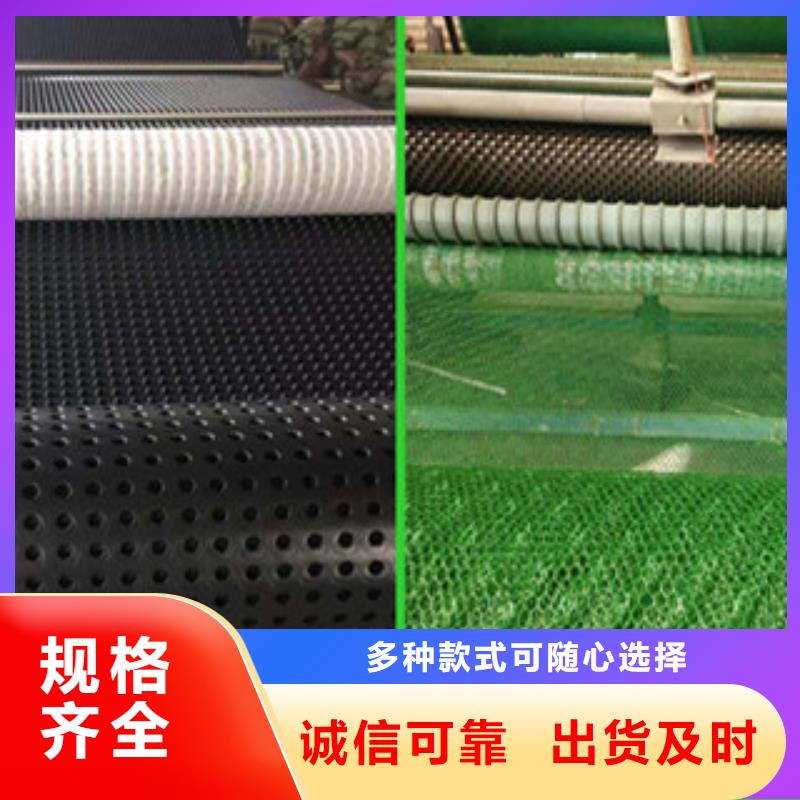 塑料排水板,【鋼塑土工格柵】質(zhì)優(yōu)價保