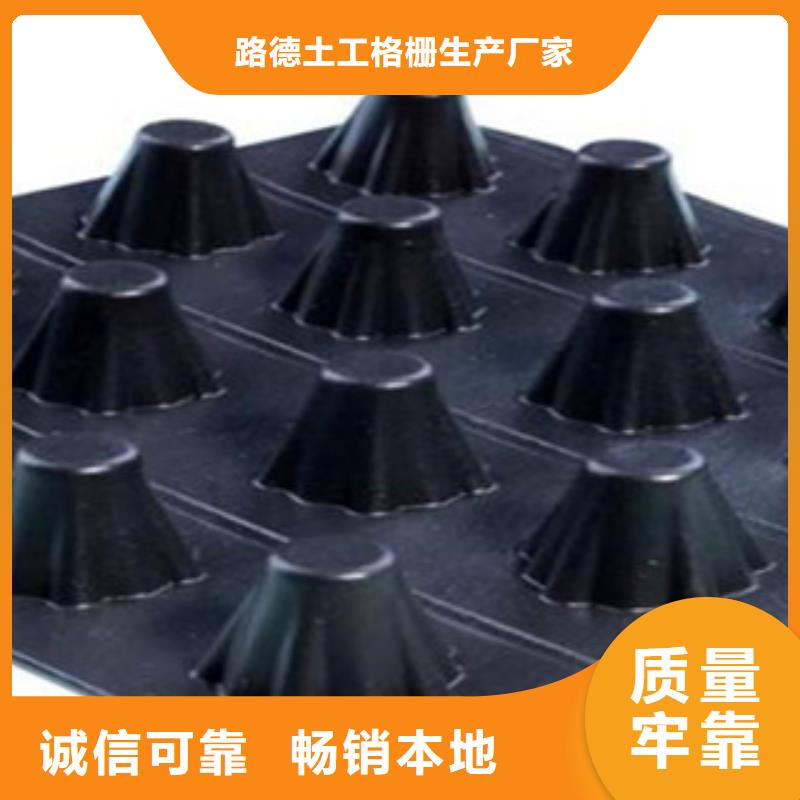 【塑料排水板,三維植被網(wǎng)精品優(yōu)選】