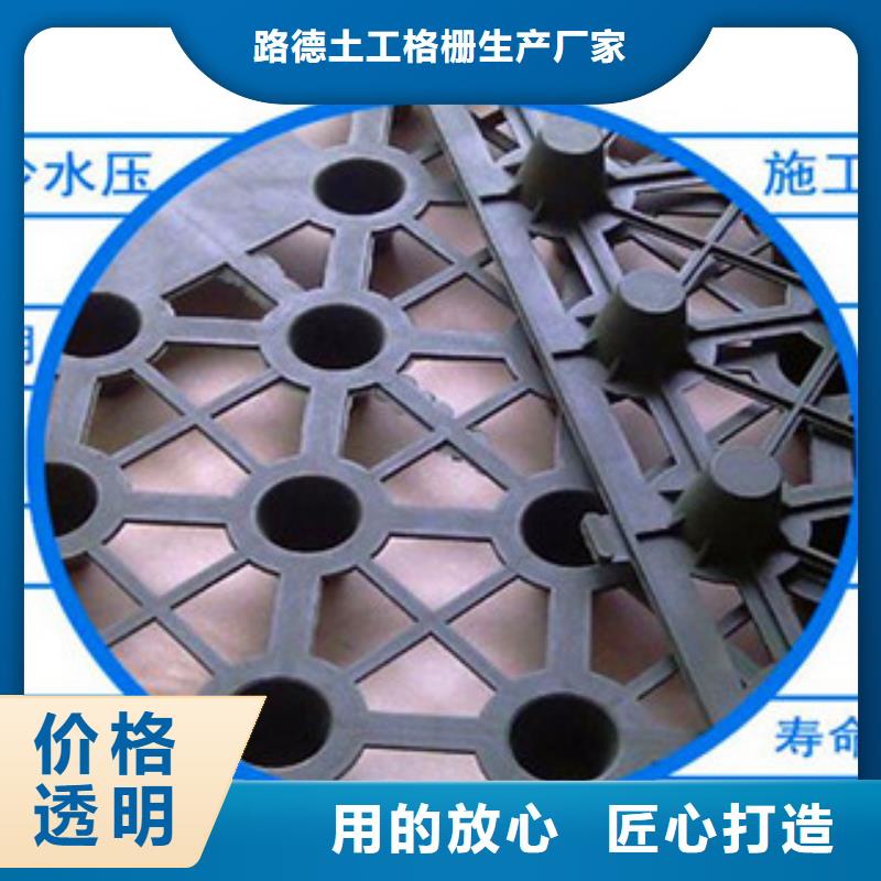 塑料排水板,【鋼塑土工格柵】質(zhì)優(yōu)價保