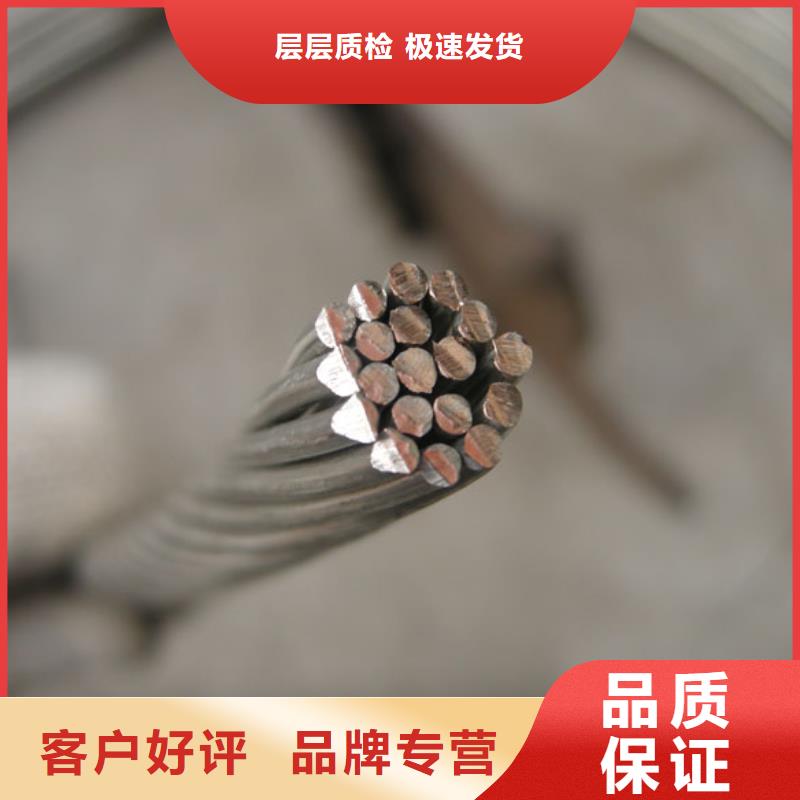 銅絞線-【紫銅帶】發貨迅速