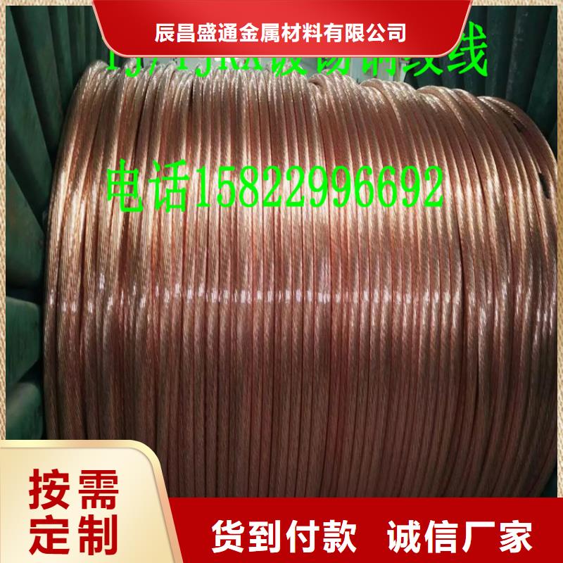 厂家辰昌盛通铜绞线多少钱一米常用指南一米多少钱