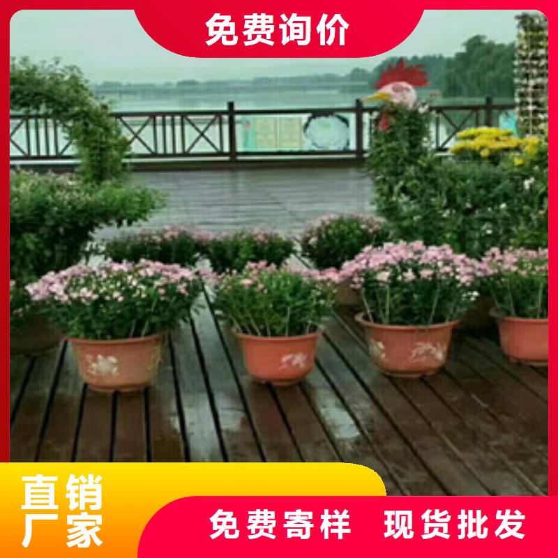 时令草花花海景观工程畅销当地