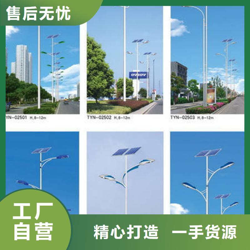 太陽能市電太陽能殺蟲燈廠家實力派廠家