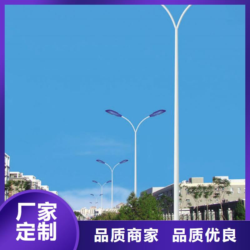 太阳能市电太阳能路灯品质之选