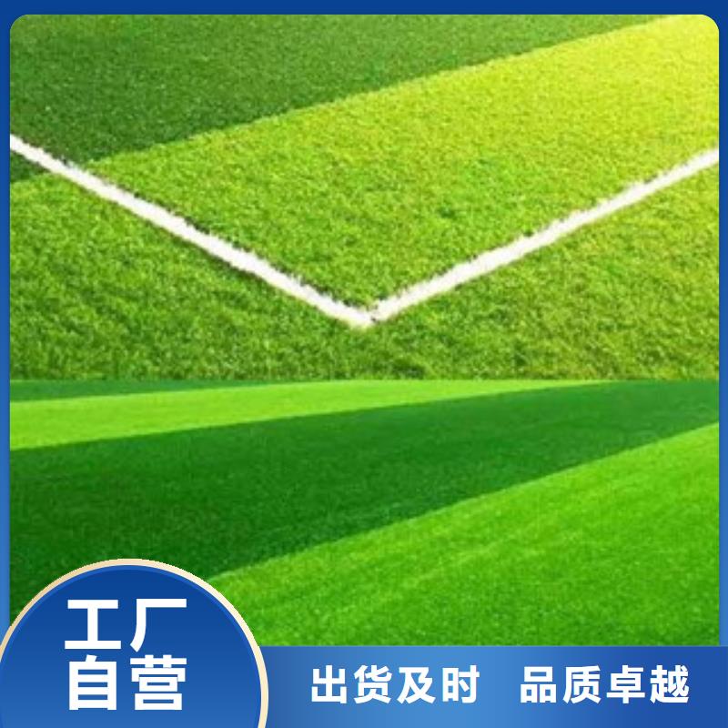 【人造草坪塑膠跑道本地廠家值得信賴】