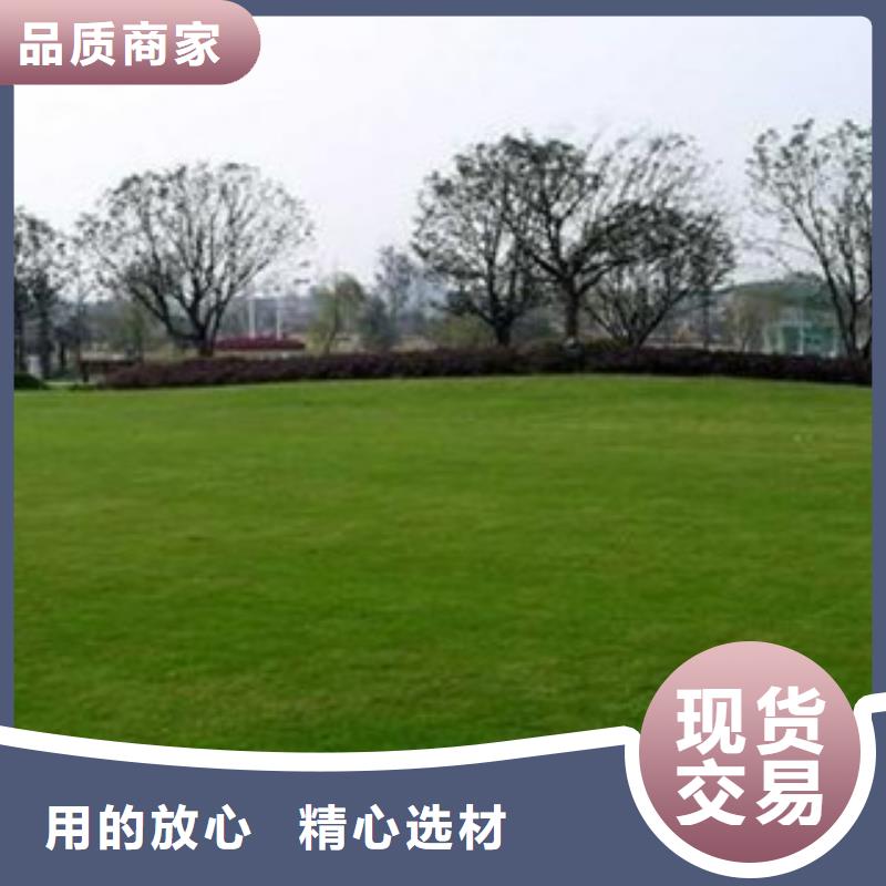 人造草坪硅pu球場免費寄樣