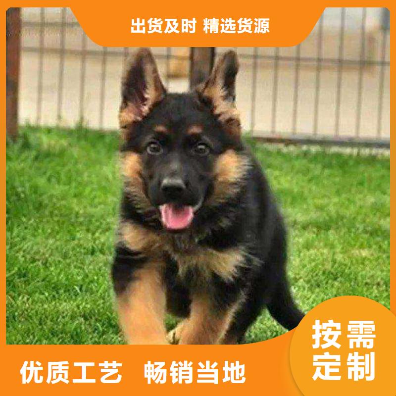 德國牧羊犬,羅威納犬質量層層把關