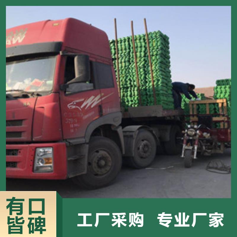 環(huán)保植草格植草格廠家工藝精細(xì)質(zhì)保長(zhǎng)久