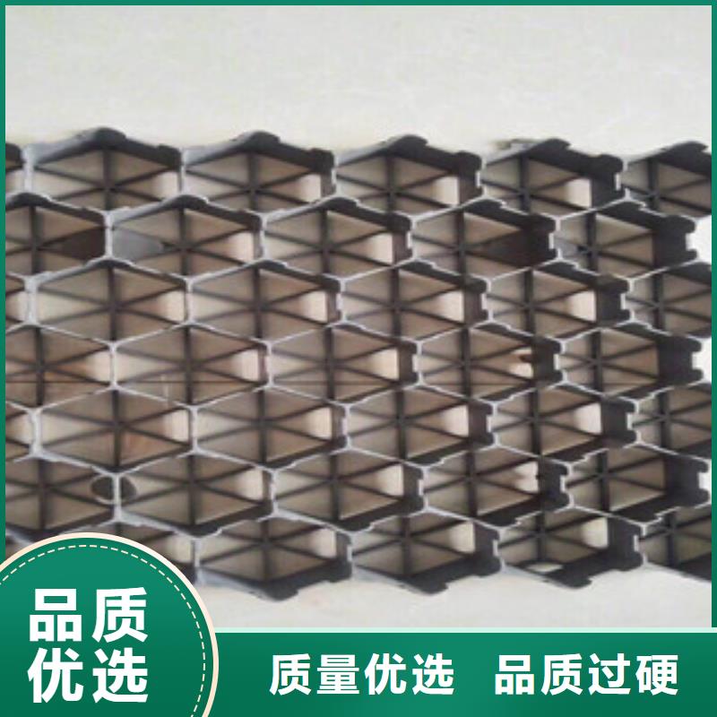 【環保植草格植草格廠家大品牌值得信賴】
