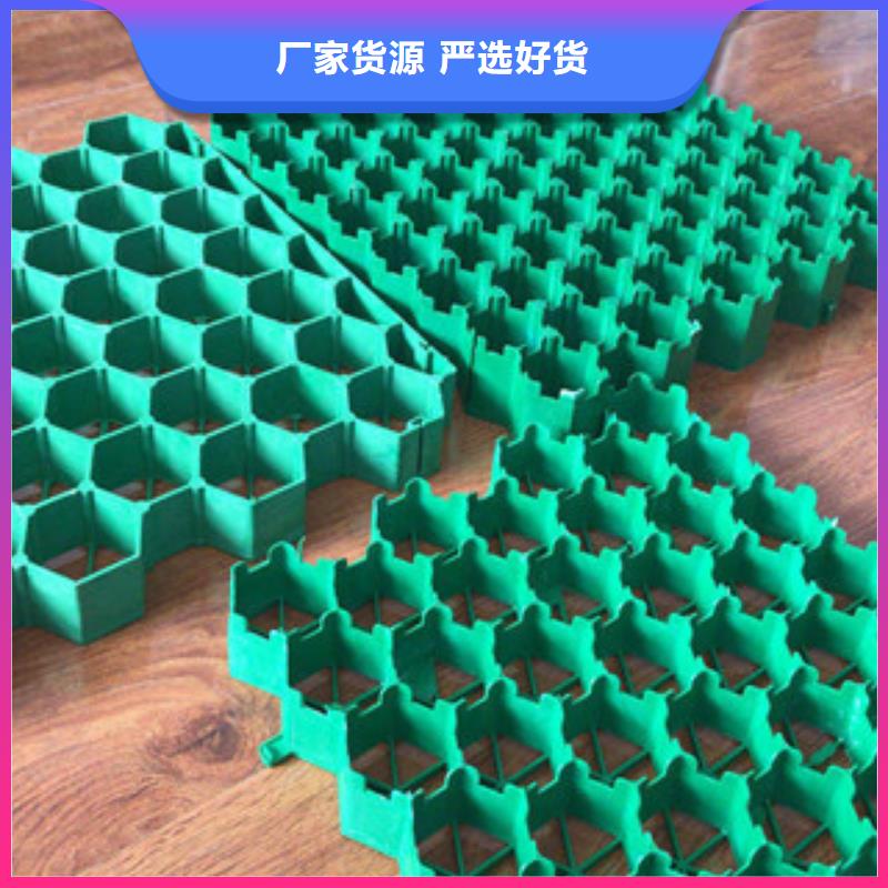 環(huán)保植草格-虹吸排水板廠家自有廠家