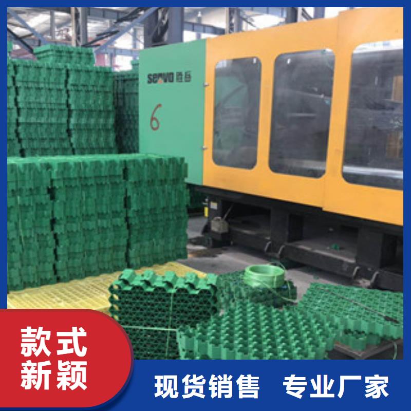 環(huán)保植草格-虹吸排水板廠家自有廠家