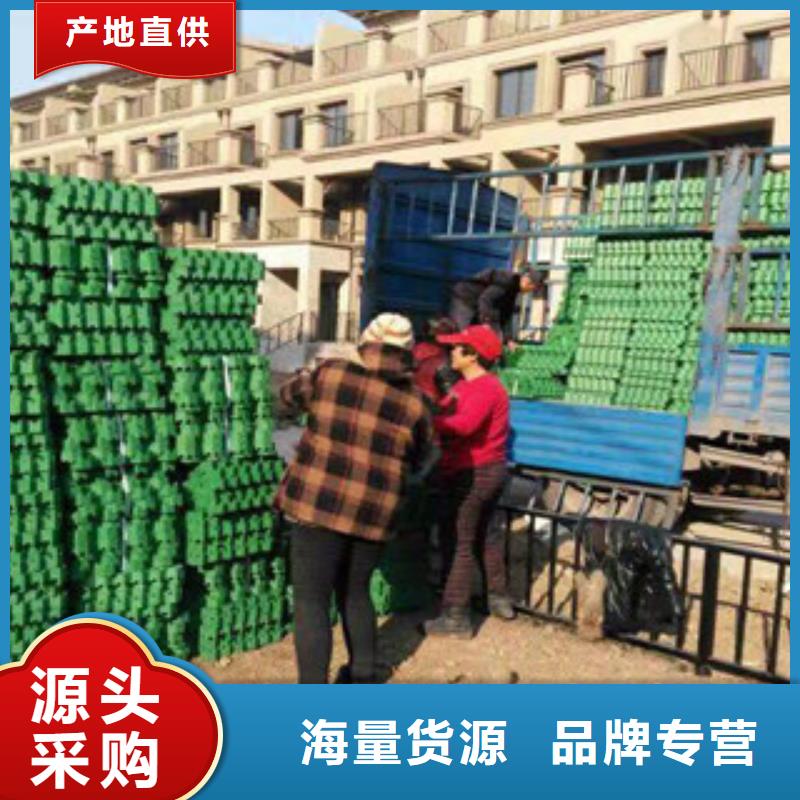 環保植草格膨潤土防水毯廠家現貨直發