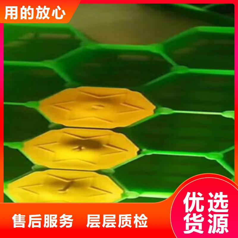 環保植草格蓄排水板廠家出廠價