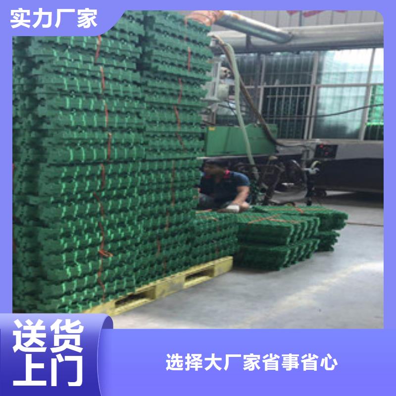 【環保植草格植草格廠家大品牌值得信賴】