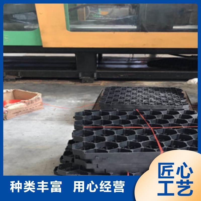 環保植草格【生態袋廠家】服務周到
