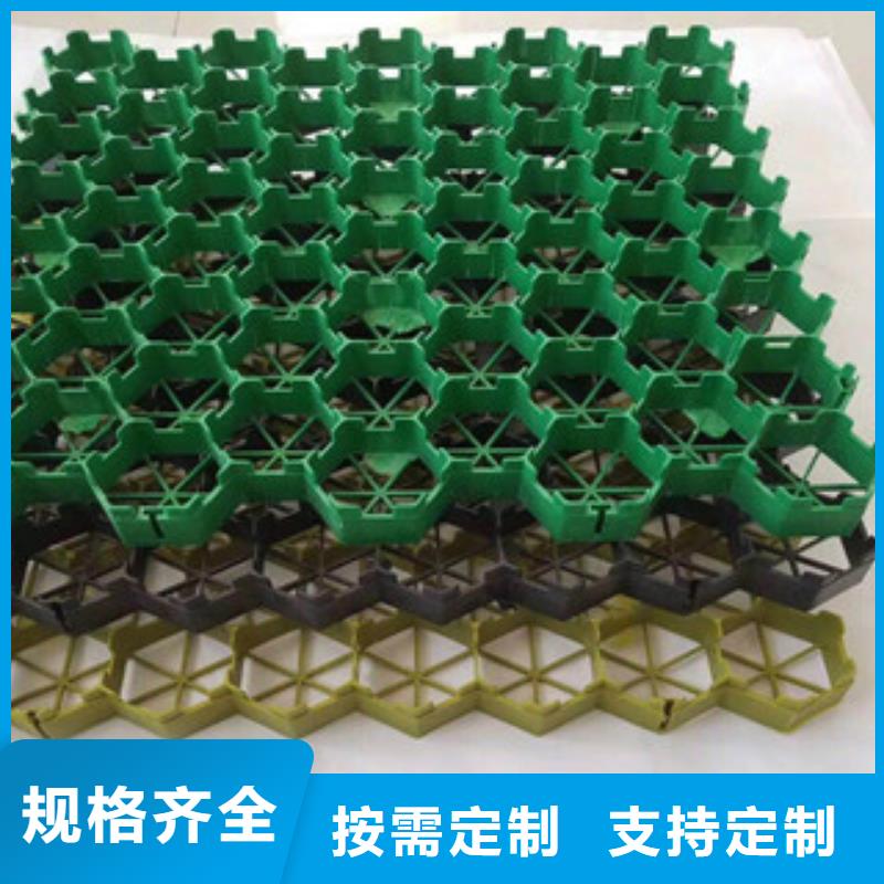【環保植草格植草格廠家大品牌值得信賴】