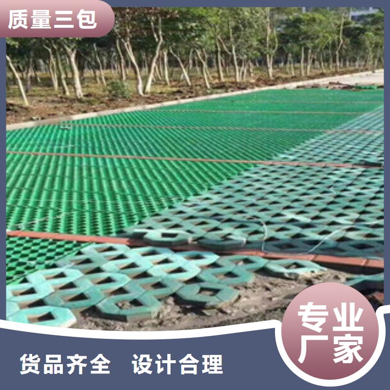 環(huán)保植草格膨潤(rùn)土防水毯廠家現(xiàn)貨