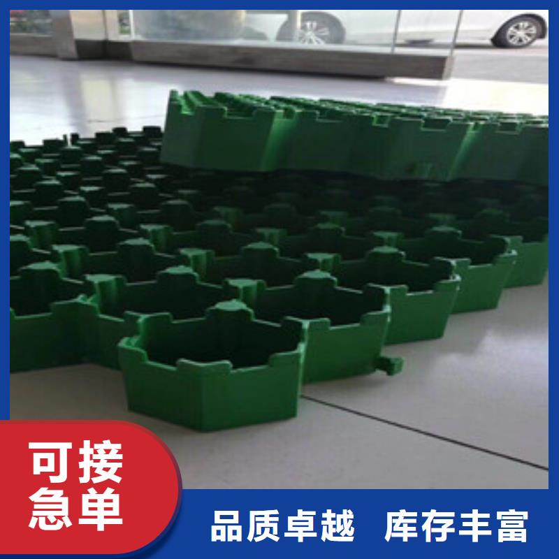 環(huán)保植草格膨潤(rùn)土防水毯廠家現(xiàn)貨