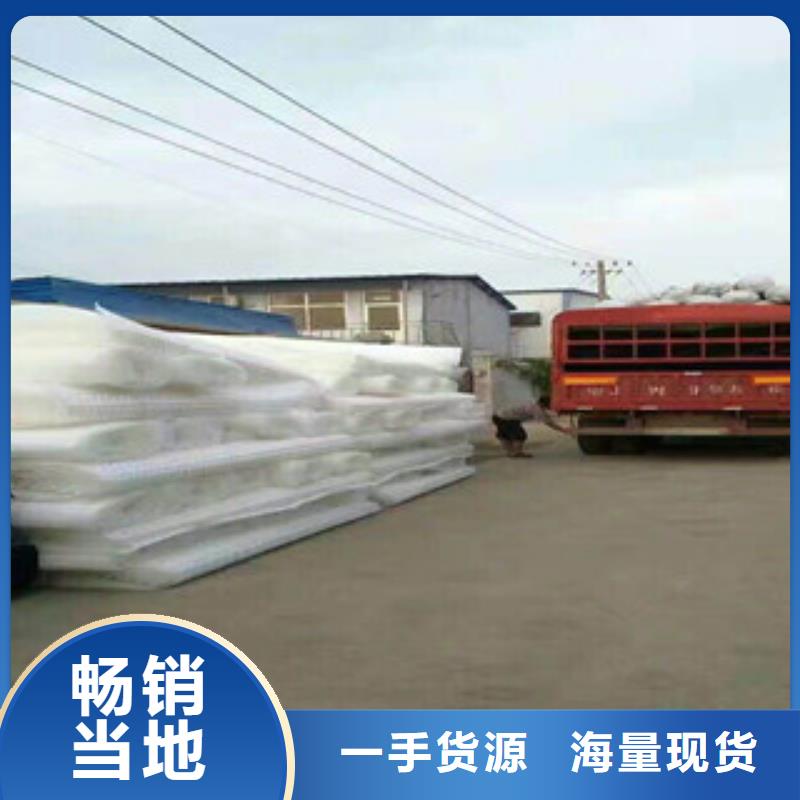 塑料排水板_植草格廠家品質優選