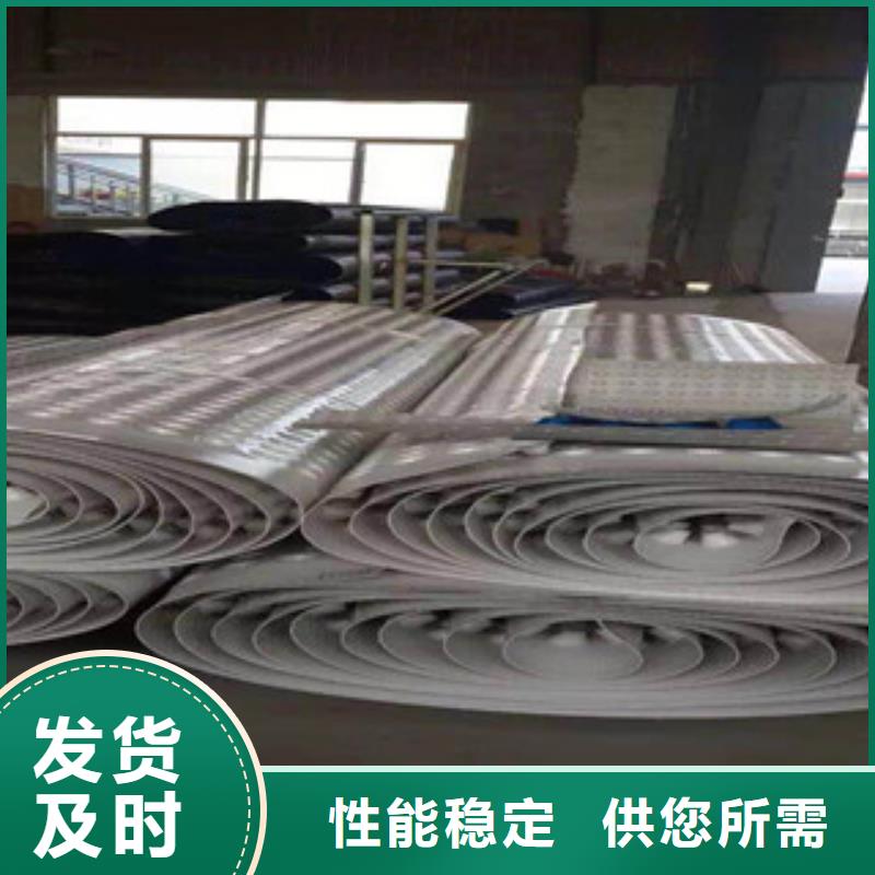 塑料排水板植草格廠家支持貨到付清