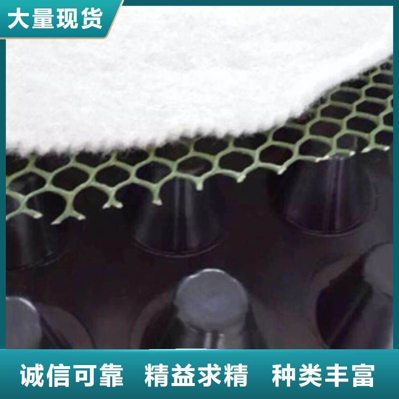 塑料排水板蓄排水板廠家產(chǎn)地廠家直銷