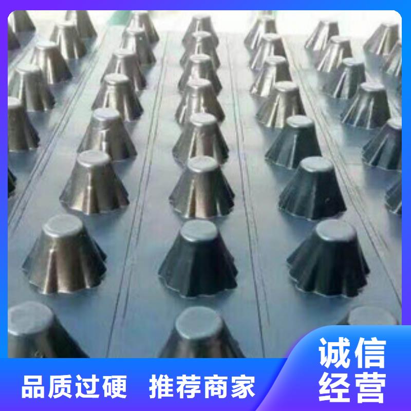 塑料排水板_土工布廠家廠家經(jīng)驗(yàn)豐富
