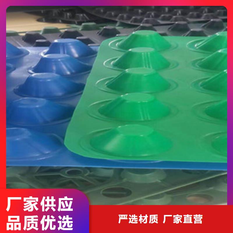 塑料排水板-蓄排水板廠家專業設計