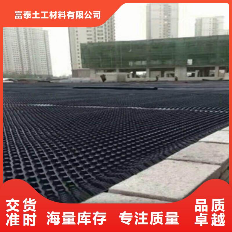 塑料排水板_植草格廠家品質優選