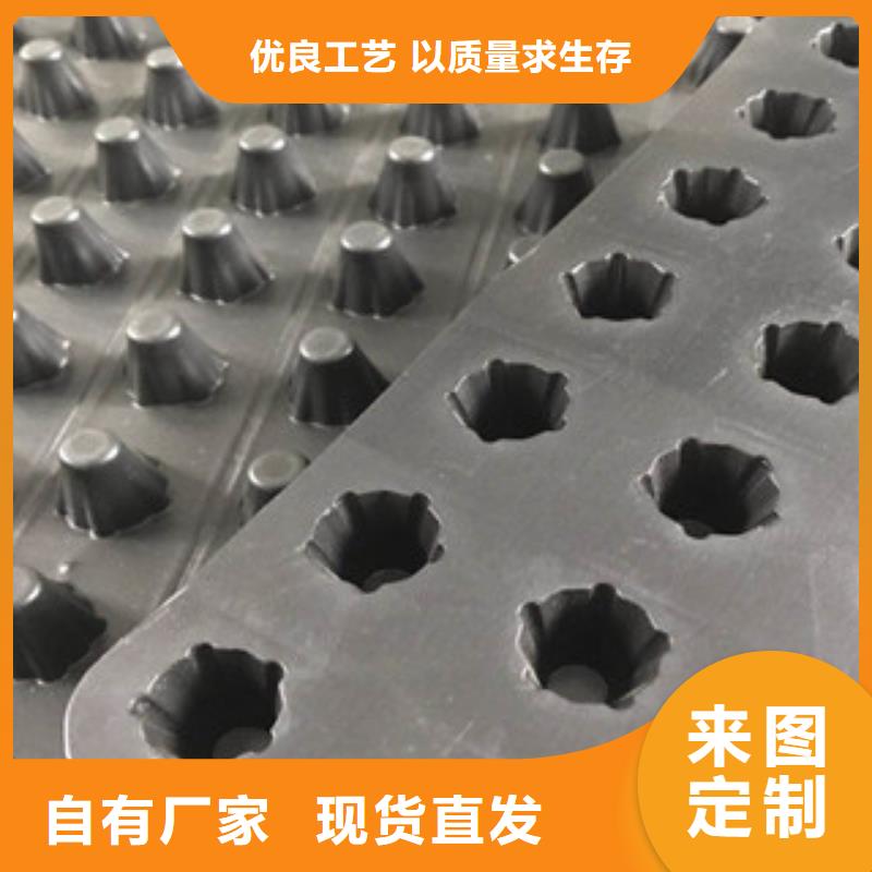 塑料排水板_土工布廠家廠家經(jīng)驗(yàn)豐富