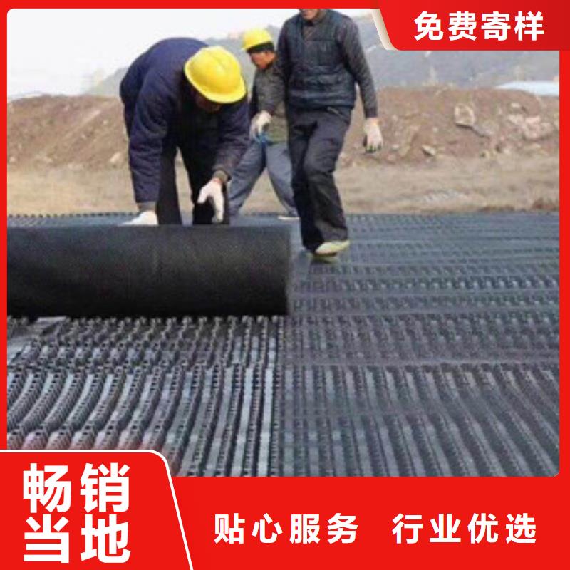 塑料排水板植草格廠家實力優(yōu)品