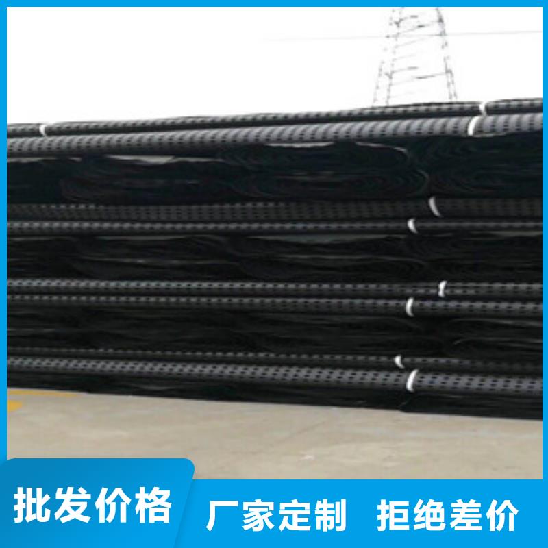 塑料排水板蓄排水板廠家專業(yè)按需定制