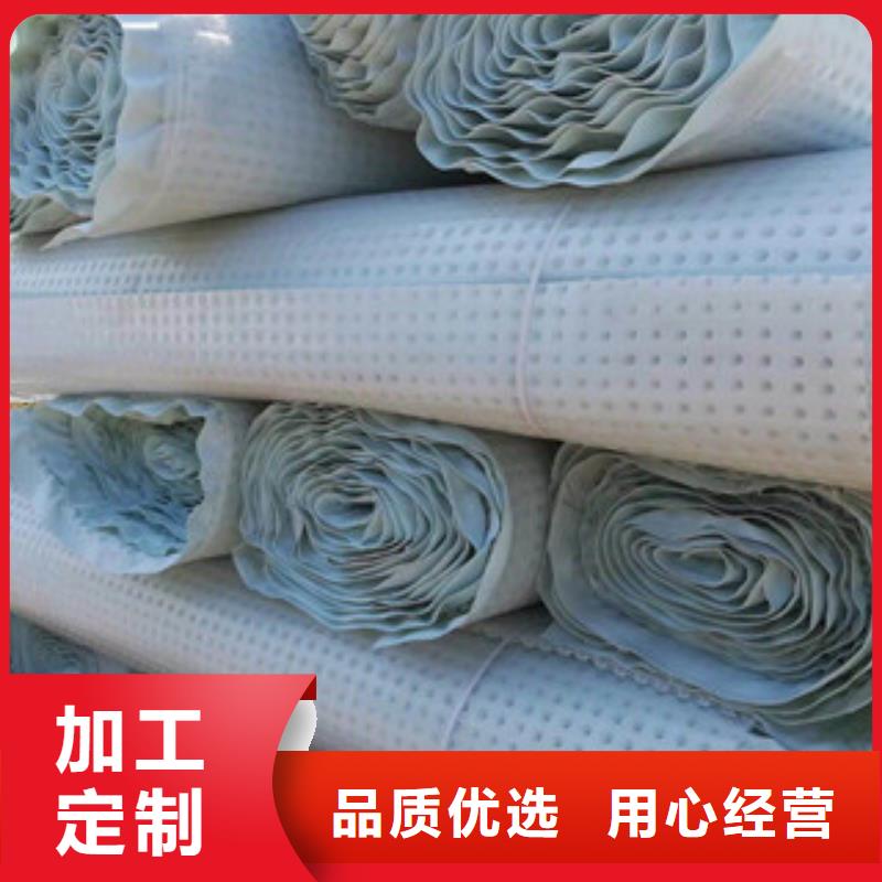 塑料排水板蓄排水板廠家產(chǎn)地廠家直銷