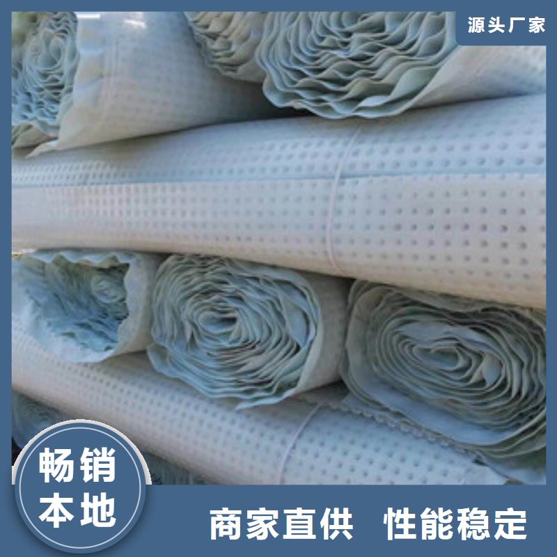 【塑料排水板土工布廠家極速發(fā)貨】