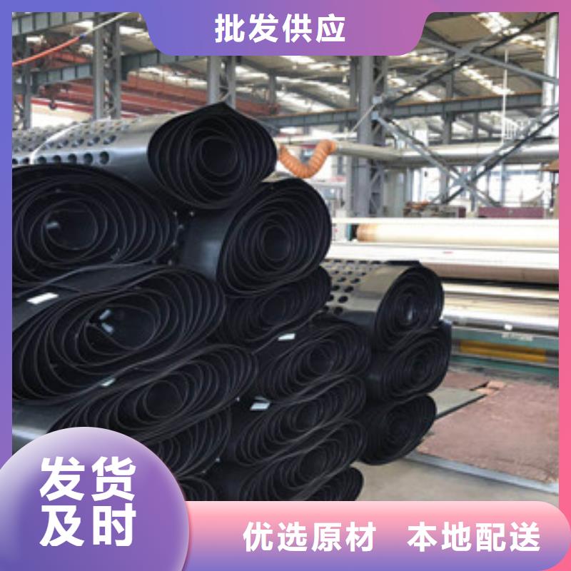 塑料排水板植草格廠家支持貨到付清