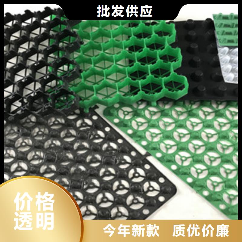 塑料排水板_植草格廠家品質優選