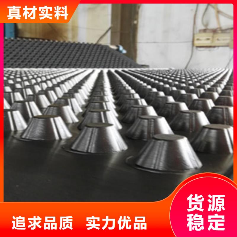 塑料排水板排水板廠家放心購