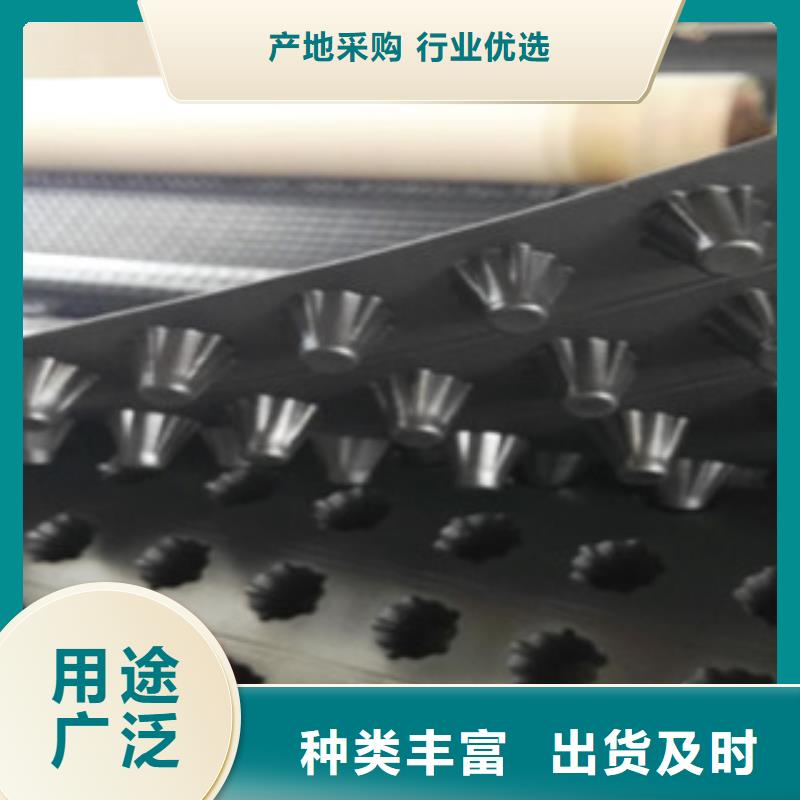 塑料排水板植草格廠家實力優(yōu)品