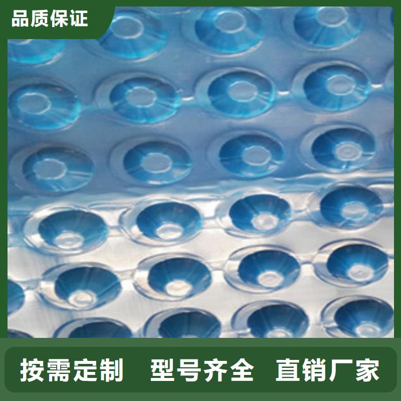工厂批发{富泰}塑料排水板虹吸排水槽厂家用好材做好产品