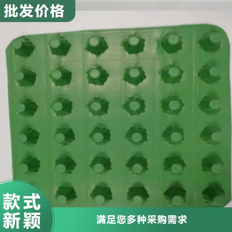 排水板土工膜廠家好品質(zhì)經(jīng)得住考驗
