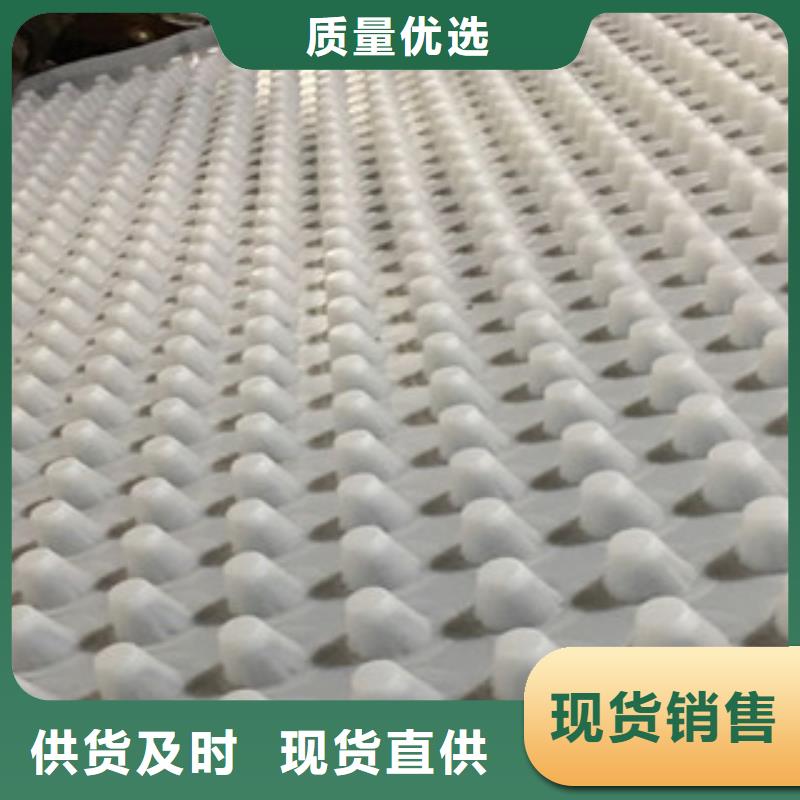 排水板【蓄排水板廠家】廠家貨源穩(wěn)定