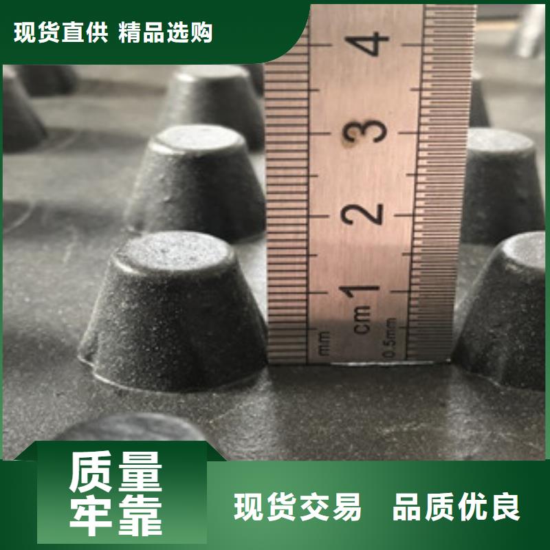 排水板,植草格廠家為您精心挑選