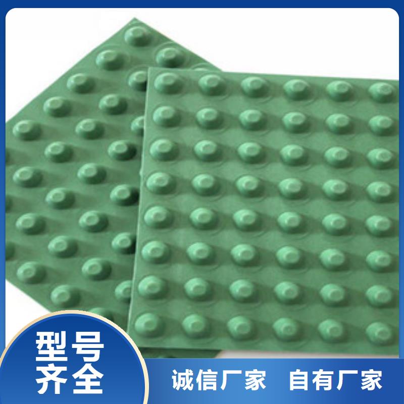 排水板土工膜廠家好品質(zhì)經(jīng)得住考驗