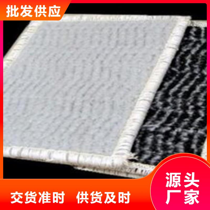 防水毯-植草格廠家工期短發(fā)貨快