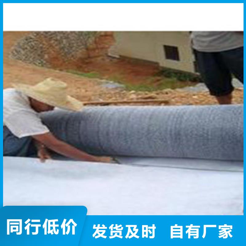 防水毯-膨潤土防水毯廠家大廠家實力看得見