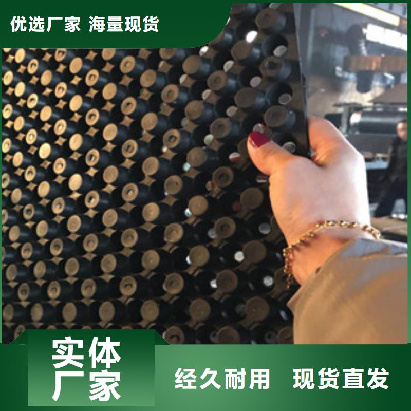 蓄排水板-植草格廠家定制定做