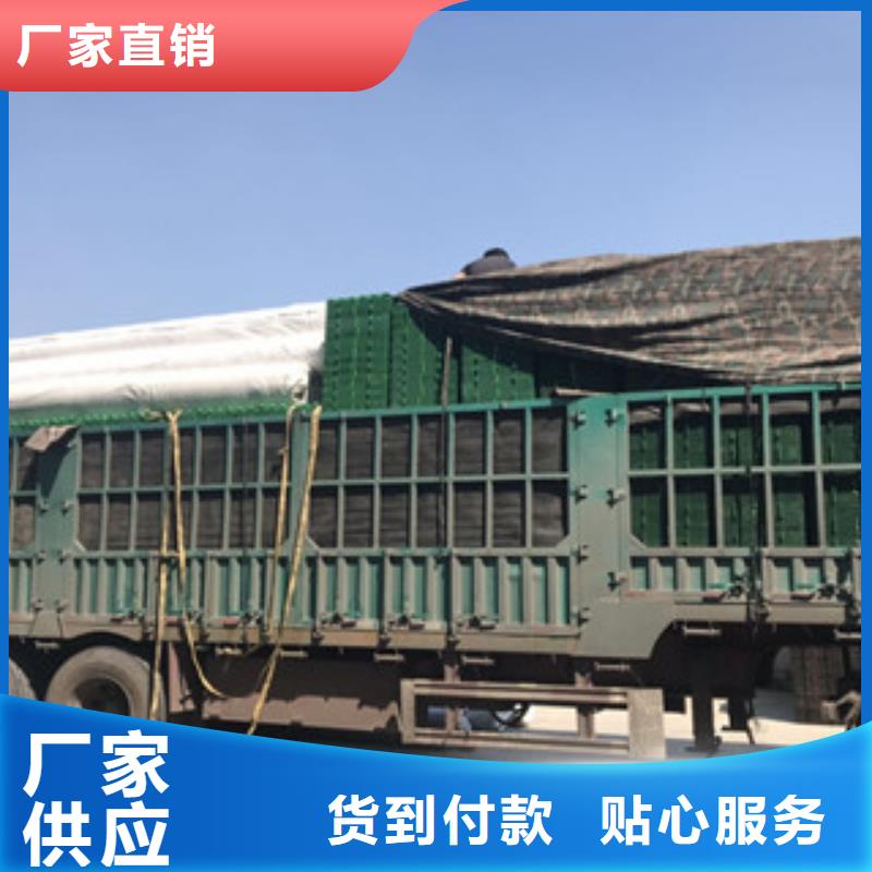 蓄排水板虹吸排水板廠家重信譽廠家