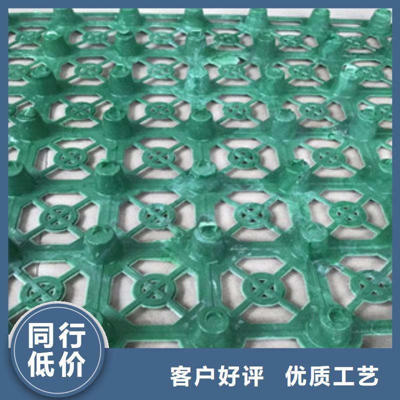 蓄排水板_膨潤土防水毯廠家支持拿樣