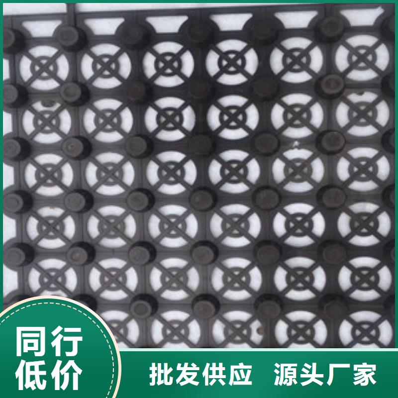 蓄排水板膨潤土防水毯廠家嚴謹工藝