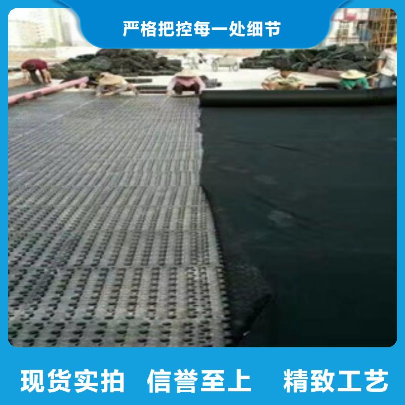 蓄排水板_膨潤土防水毯廠家支持拿樣